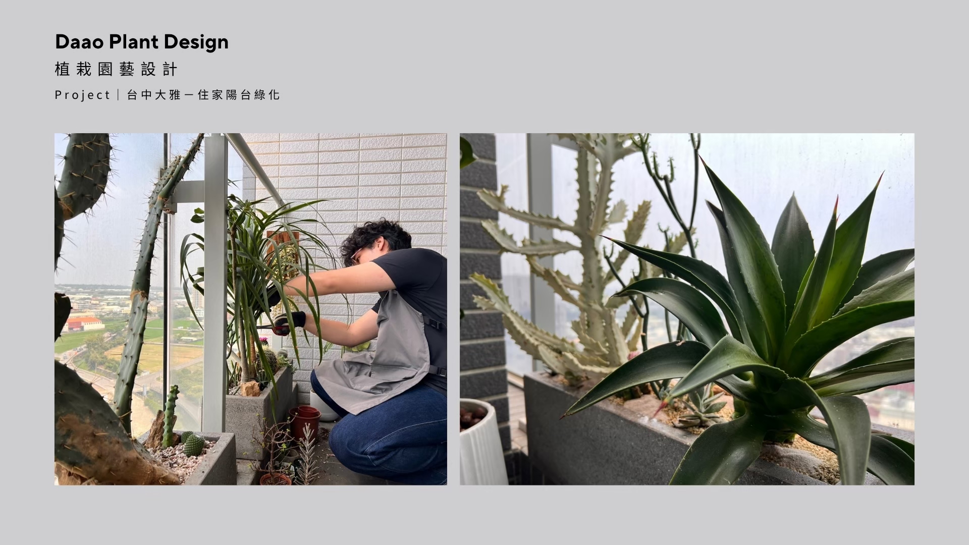 達奧植物規劃