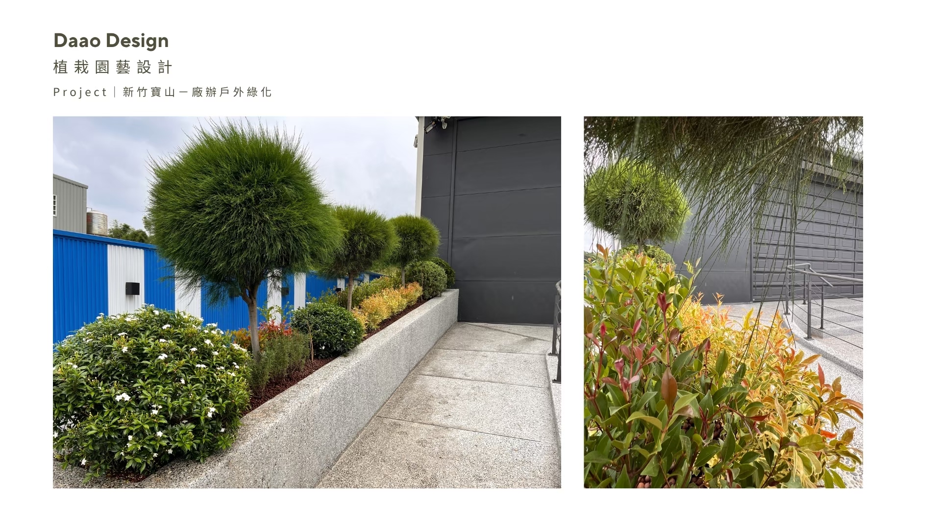 達奧植物規劃