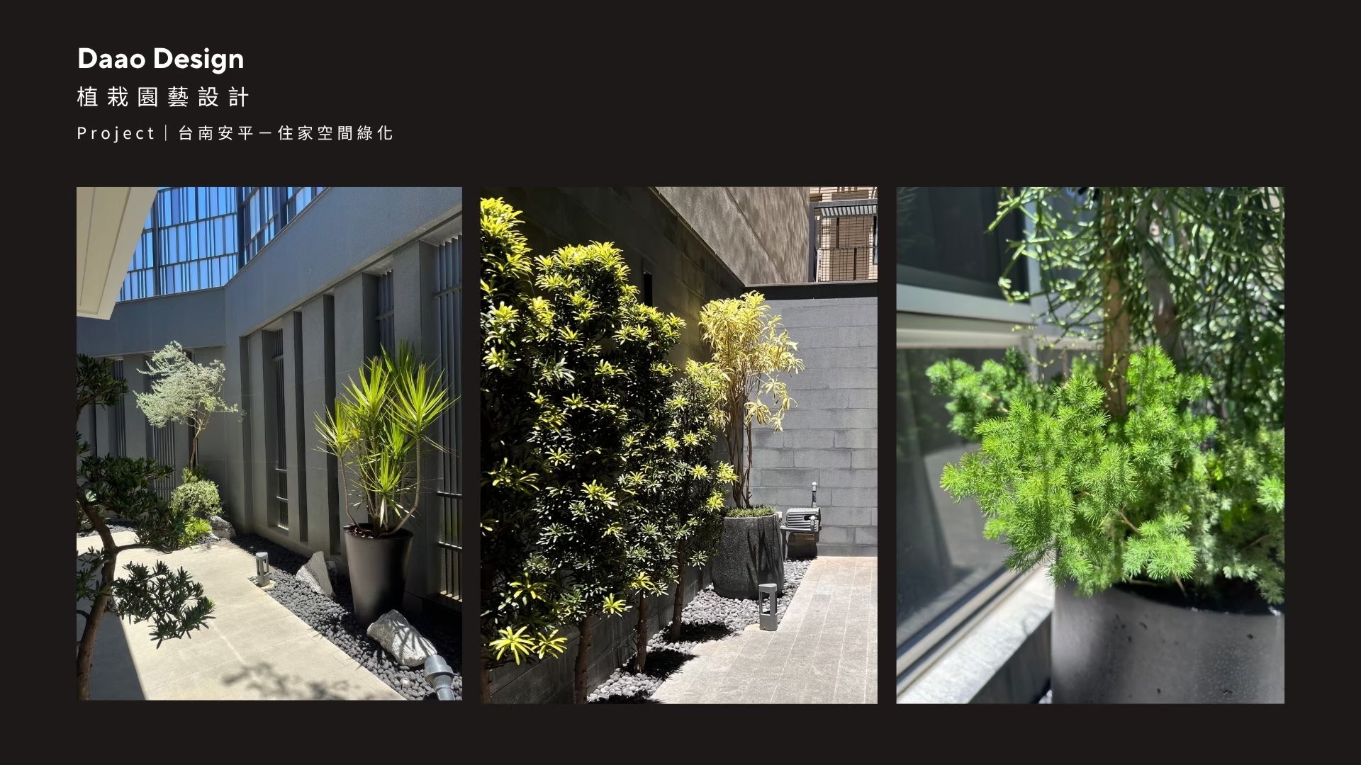 達奧植物規劃